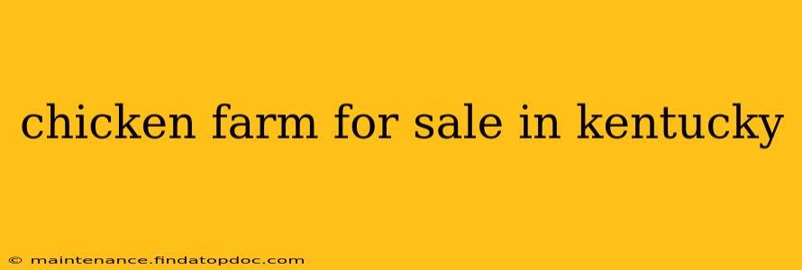 chicken farm for sale in kentucky