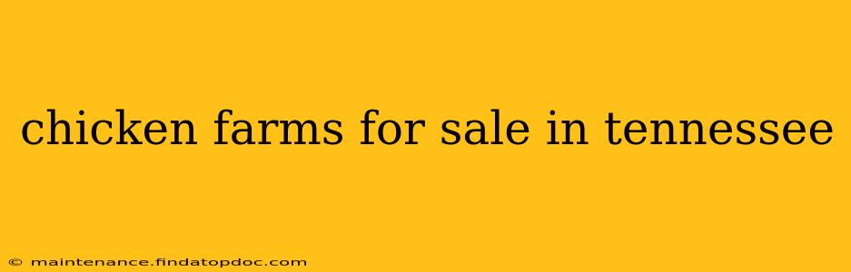 chicken farms for sale in tennessee
