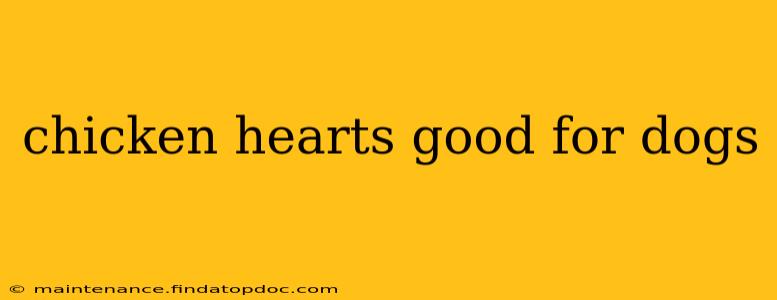 chicken hearts good for dogs