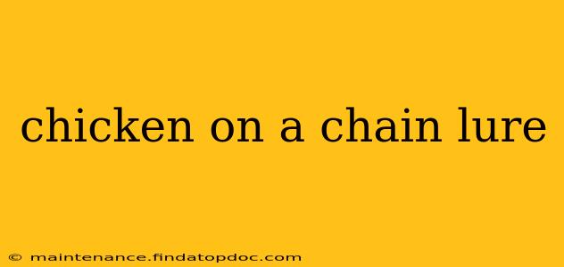 chicken on a chain lure