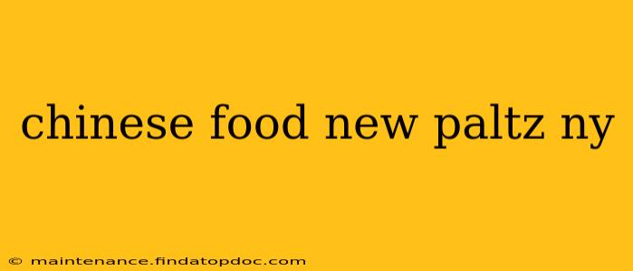 chinese food new paltz ny