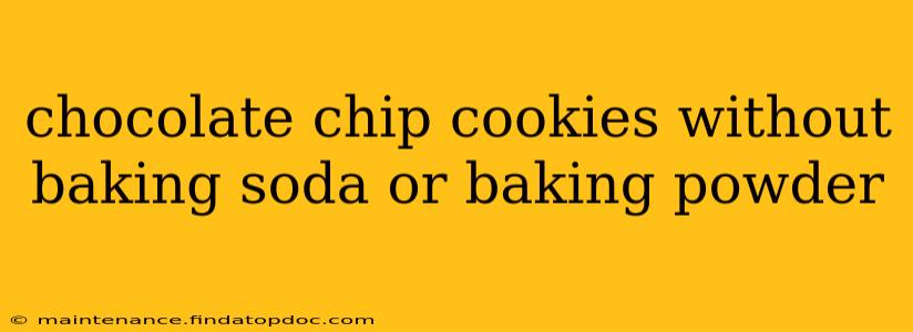chocolate chip cookies without baking soda or baking powder