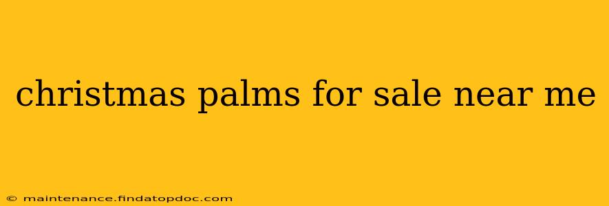 christmas palms for sale near me
