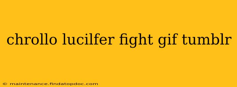 chrollo lucilfer fight gif tumblr
