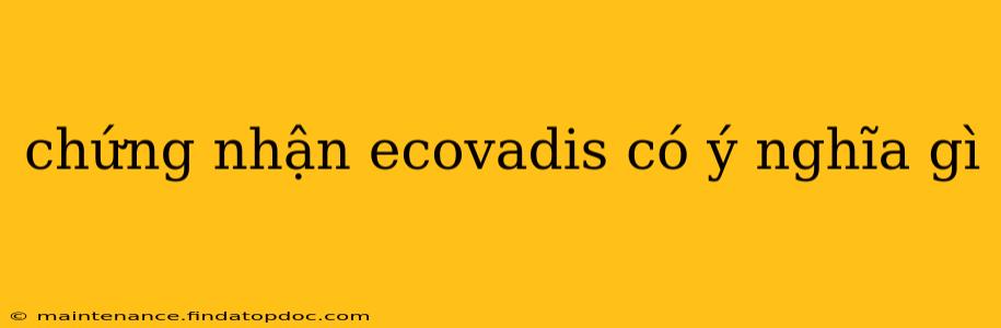 chứng nhận ecovadis có ý nghĩa gì