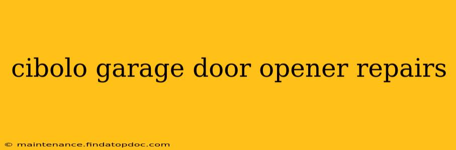 cibolo garage door opener repairs