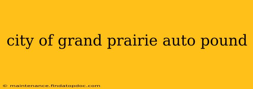 city of grand prairie auto pound