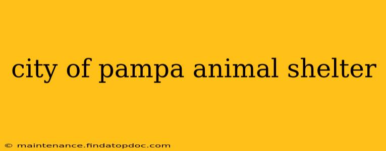 city of pampa animal shelter