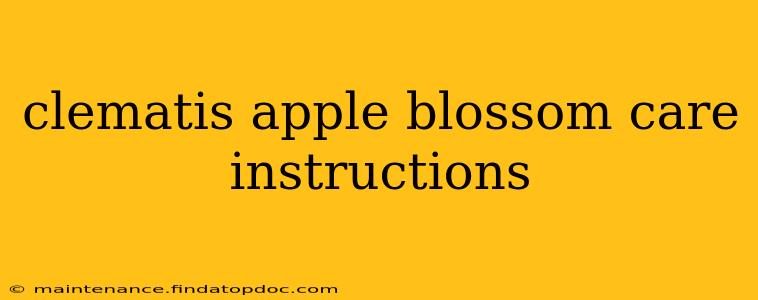 clematis apple blossom care instructions