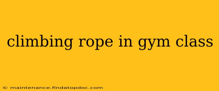 climbing rope in gym class