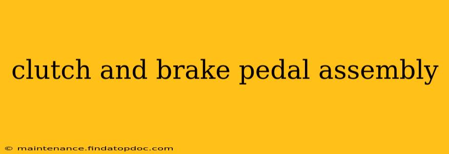 clutch and brake pedal assembly