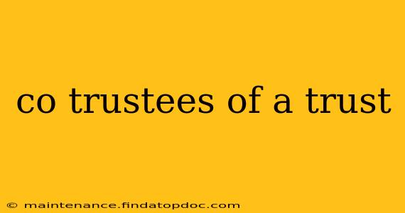 co trustees of a trust