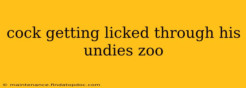 cock getting licked through his undies zoo cock getting licked through his undies zoo