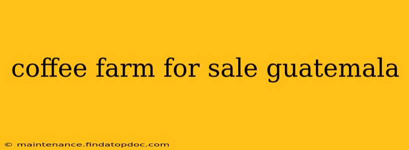 coffee farm for sale guatemala