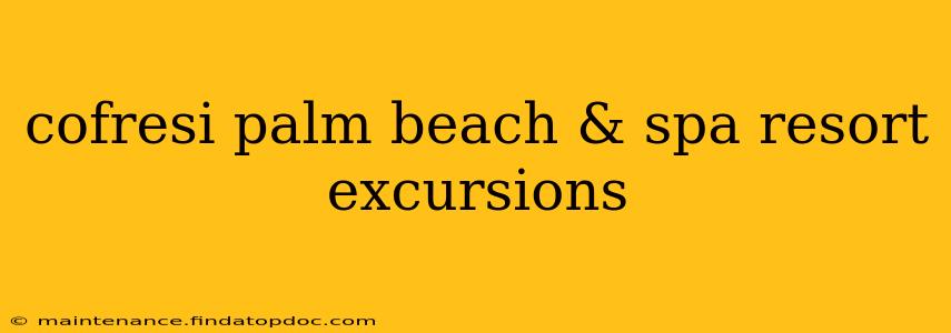 cofresi palm beach & spa resort excursions
