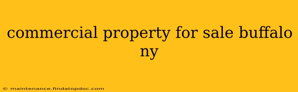 commercial property for sale buffalo ny