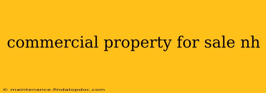 commercial property for sale nh