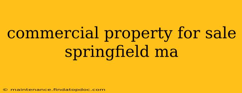 commercial property for sale springfield ma