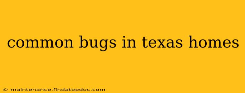 common bugs in texas homes