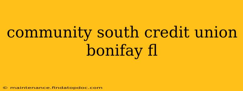 community south credit union bonifay fl