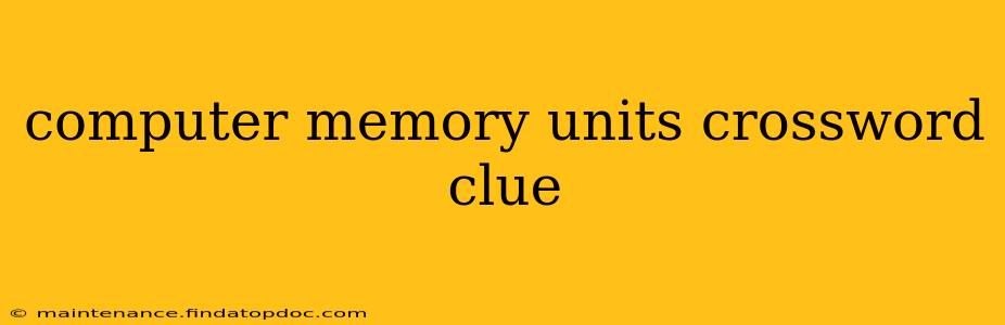 computer memory units crossword clue