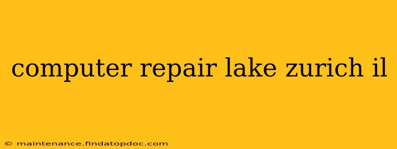 computer repair lake zurich il