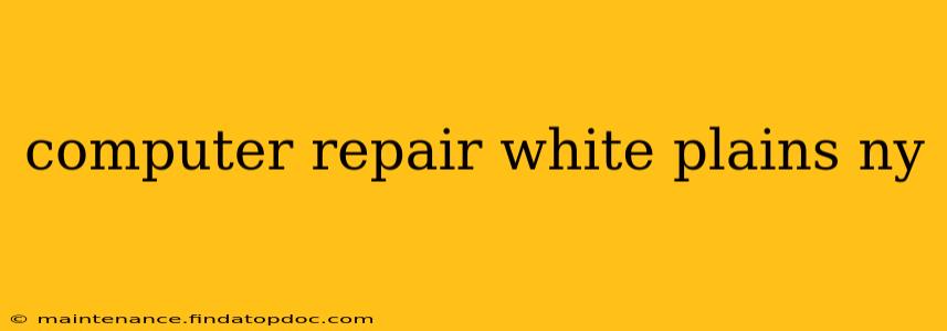 computer repair white plains ny