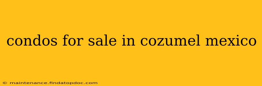 condos for sale in cozumel mexico