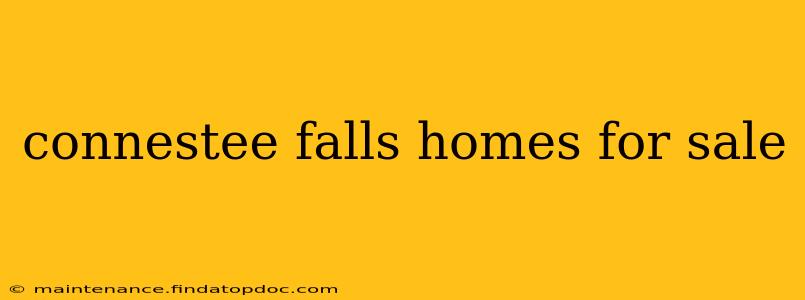 connestee falls homes for sale