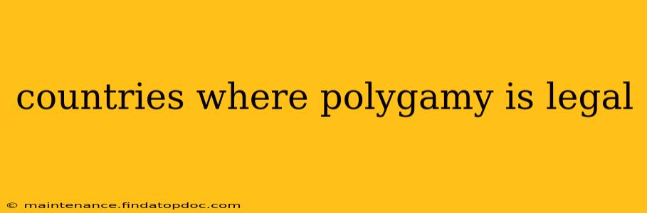 countries where polygamy is legal