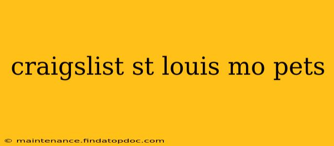 craigslist st louis mo pets