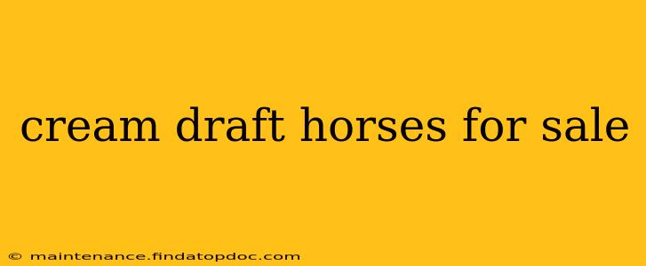 cream draft horses for sale