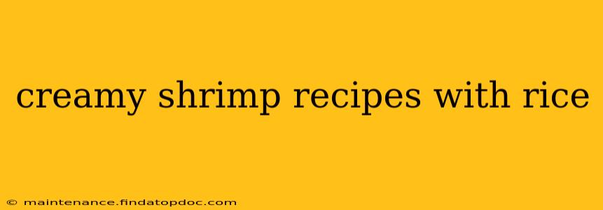 creamy shrimp recipes with rice