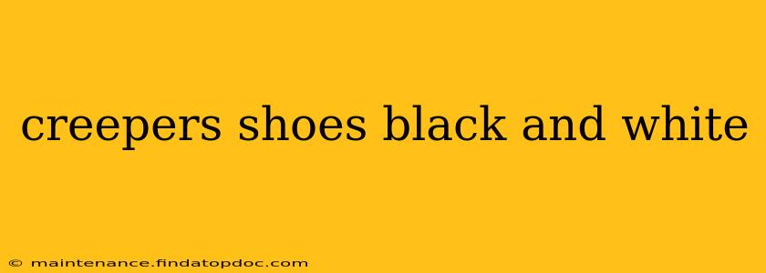 creepers shoes black and white