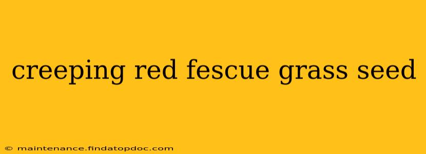 creeping red fescue grass seed