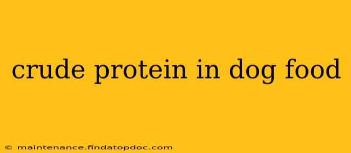 crude protein in dog food