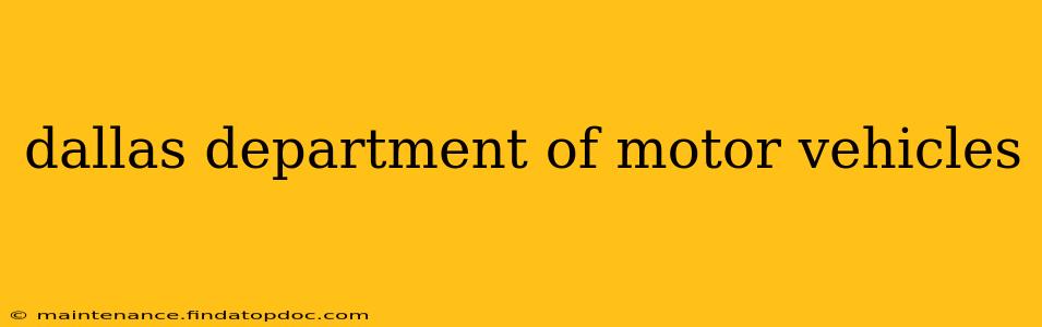 dallas department of motor vehicles