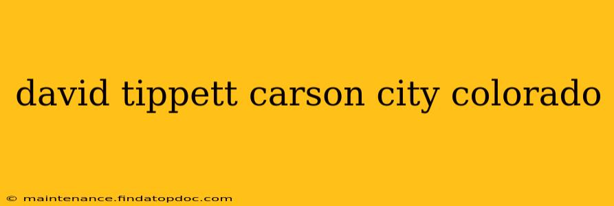 david tippett carson city colorado
