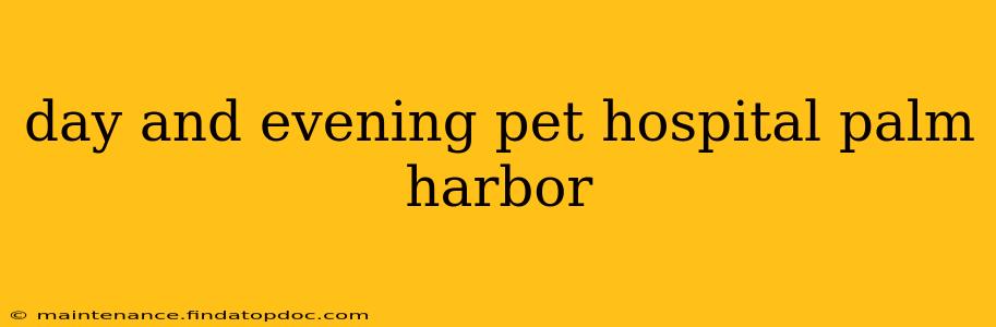 day and evening pet hospital palm harbor