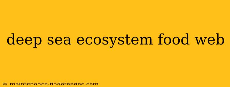 deep sea ecosystem food web