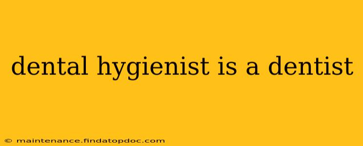 dental hygienist is a dentist