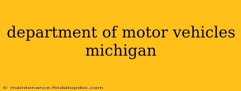 department of motor vehicles michigan