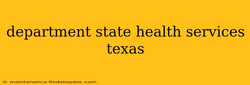 department state health services texas
