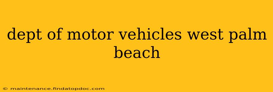 dept of motor vehicles west palm beach