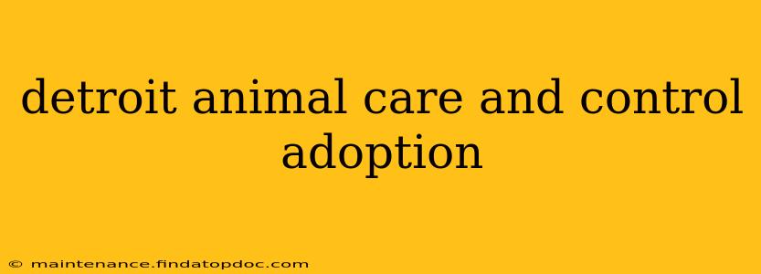 detroit animal care and control adoption