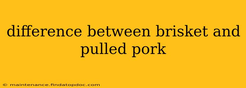 difference between brisket and pulled pork