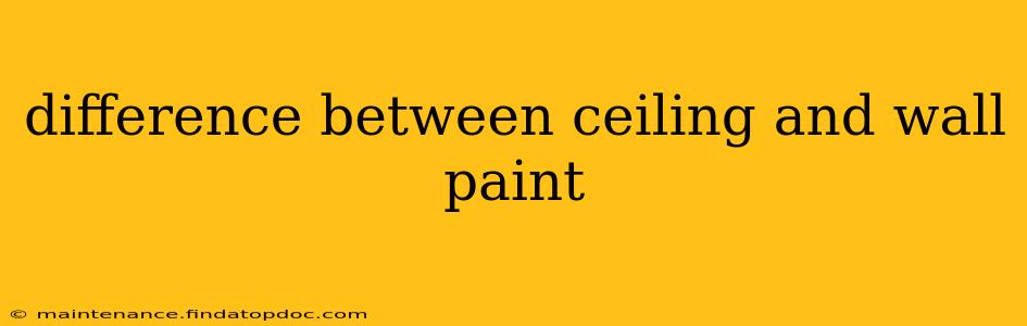 difference between ceiling and wall paint