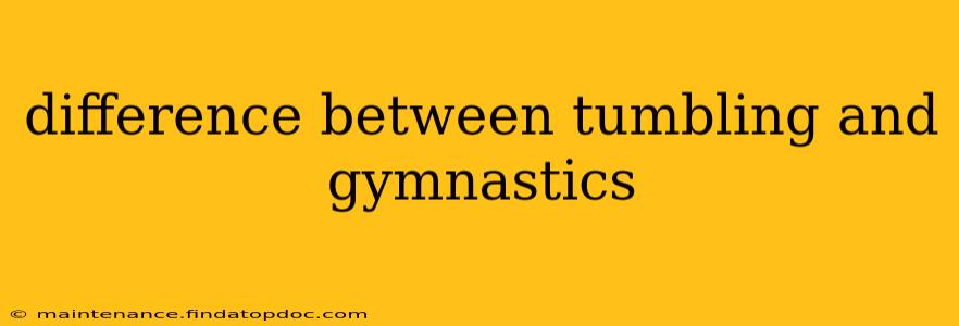 difference between tumbling and gymnastics