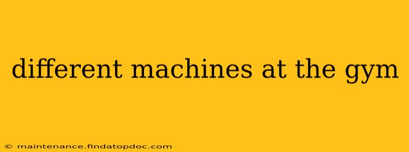 different machines at the gym