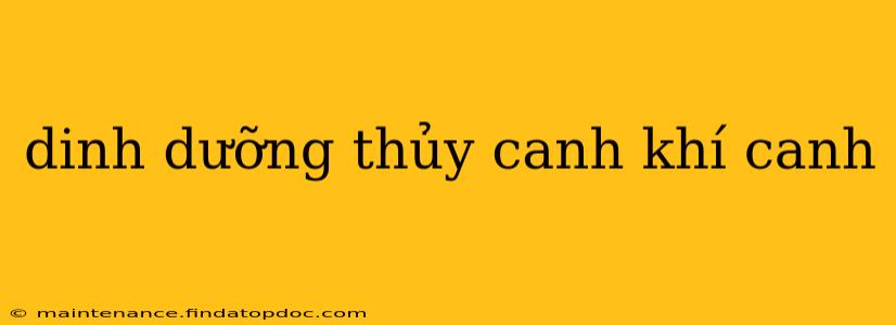 dinh dưỡng thủy canh khí canh